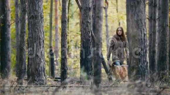 年轻迷人的女人红头发和她的宠物德国牧羊犬在秋天的森林里走在中间视频的预览图