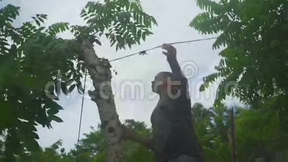 黑皮肤的人砍掉了热带树木的干枝视频的预览图