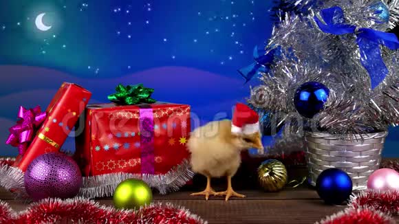 2017圣诞老人帽子里有一只滑稽的小公鸡视频的预览图