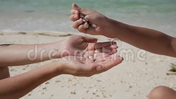 手拿贝壳在海滩上视频的预览图