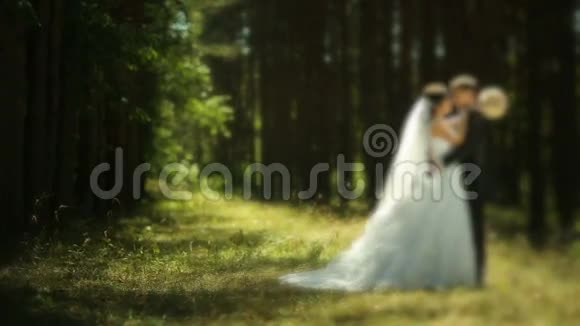 森林里漂亮的婚礼情侣视频的预览图