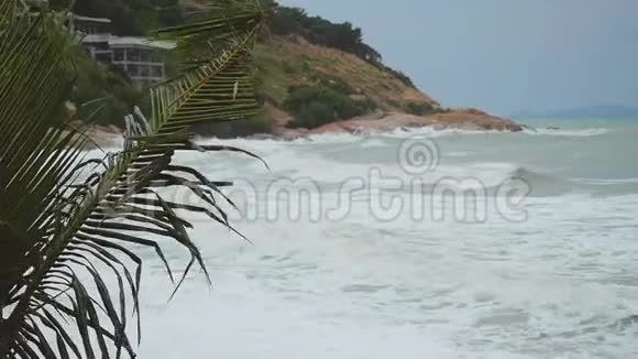 热带海滩在风暴中棕榈树在缓慢移动1920x1080高清视频的预览图