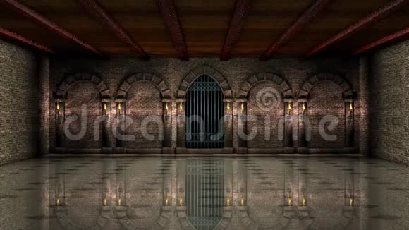 中世纪大厅带铁门4K视频的预览图