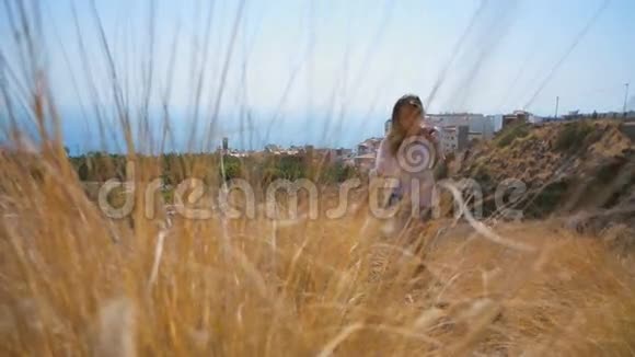 女孩在黄色的长草的背景下视频的预览图