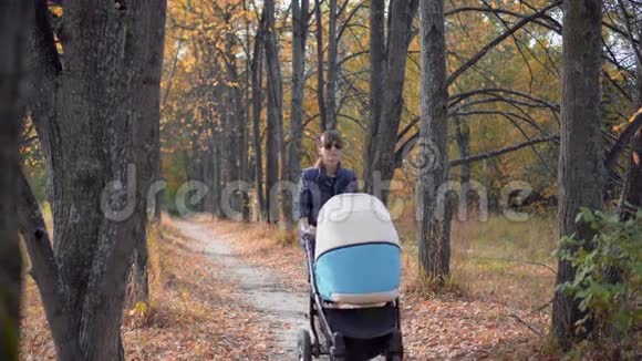年轻的母亲带着婴儿车在秋天的公园里散步视频的预览图