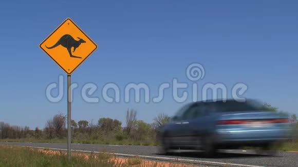 一辆袋鼠过马路标志车经过视频的预览图