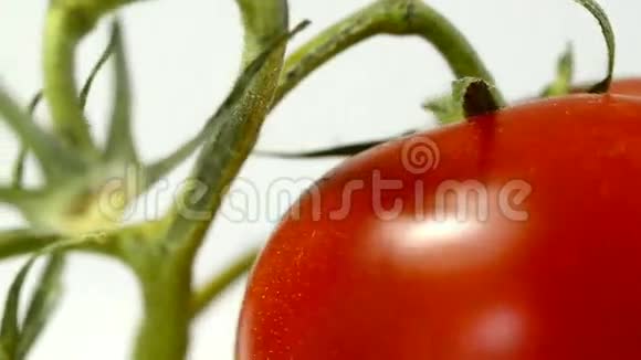 成熟的番茄视频的预览图