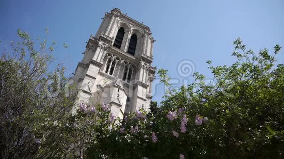 法国巴黎圣母院钟楼视频的预览图
