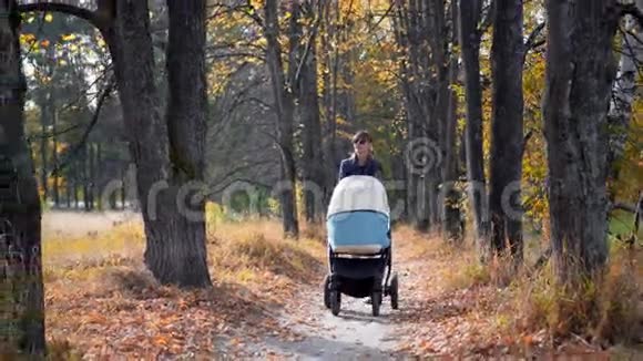 年轻的母亲带着婴儿车在秋天的公园里散步视频的预览图