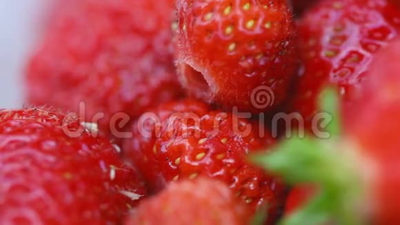 新鲜成熟的草莓宏视频的预览图