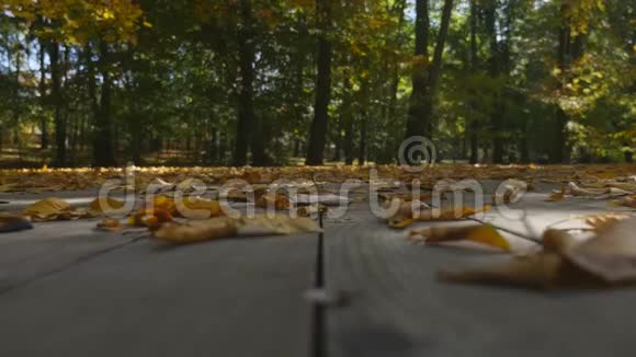 在秋天飘落的叶子上合上视频的预览图