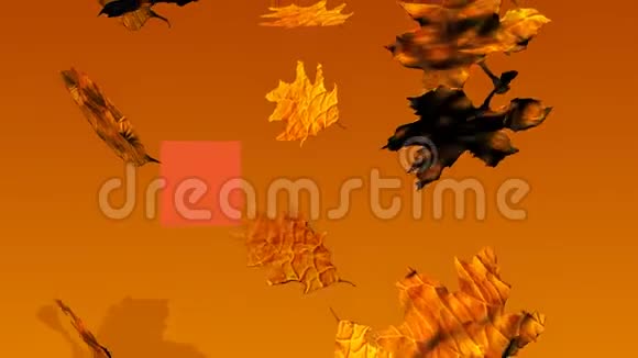 大量秋季销售图片背景为落叶视频的预览图