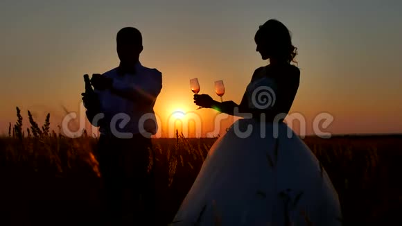 一对夫妇欣赏香槟酒的剪影浪漫的情侣自然剪影夕阳阳光视频的预览图