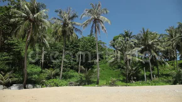 热带海滩棕榈和黄沙视频的预览图