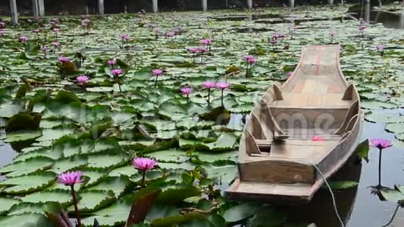 粉红色红莲的运动和漂浮在池塘上的木船的运动视频的预览图