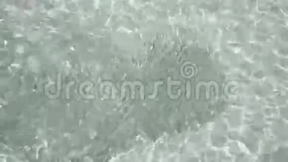 马尔代夫海边的鱼学校视频的预览图