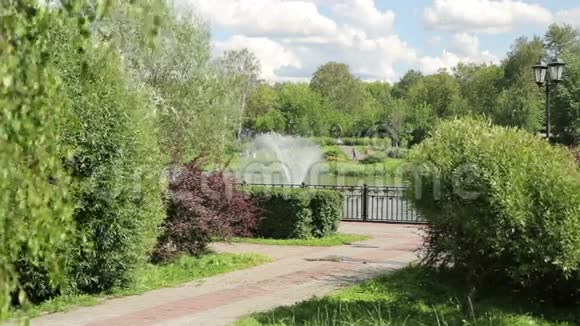池塘里的喷泉公园里有一个湖那里有一个喷泉视频的预览图
