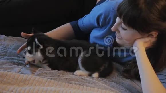 小狗西伯利亚哈士奇和女孩在床上玩耍视频的预览图