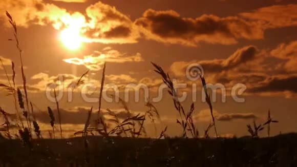 日落景观塞文尼斯南法州视频的预览图
