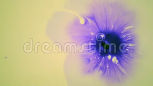 漂亮的紫色墨水滴在黄色湿滑的表面视频的预览图