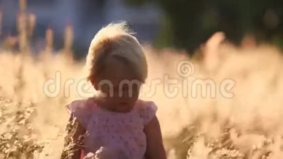 一个金发小女孩在阳光下发现草地上的田野花视频的预览图