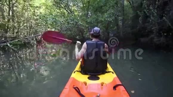 老人在红树丛林中背着背光划桨视频的预览图