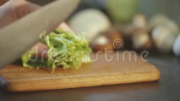 家庭主妇切沙拉叶生的健康食品理念视频的预览图
