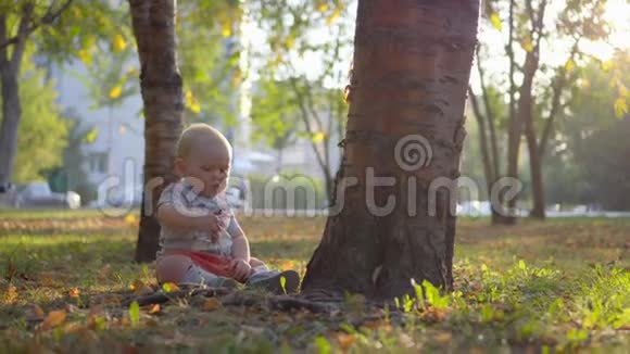 宝宝坐在靠近树的草坪上玩草日落的光秋天公园视频的预览图