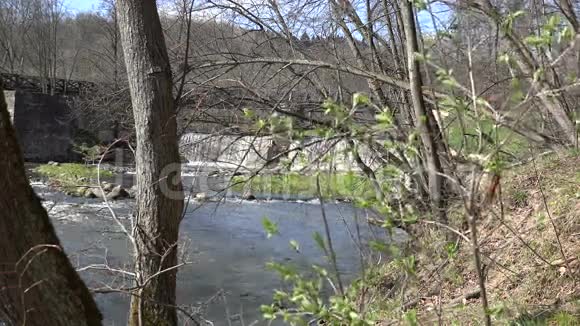 初春绿叶上嫩枝和瀑布流水4K视频的预览图