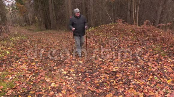 秋天公园里有徒步旅行杆的徒步旅行者视频的预览图