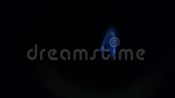 煤气炉中央加热天然气燃烧器蓝色火焰视频的预览图