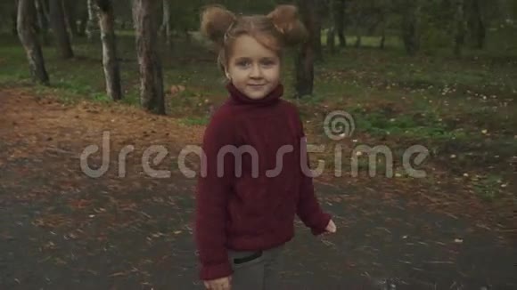 秋天公园小可爱微笑女孩的肖像视频的预览图