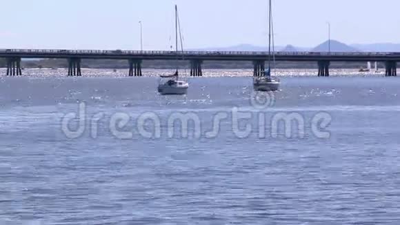 布里比岛大桥1号视频的预览图