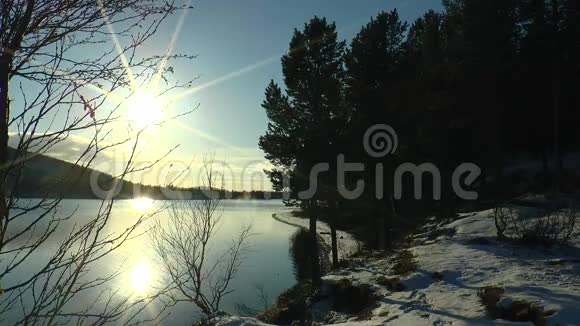 湖的岸边有松树和明亮的晚阳在深秋的平静的水中反射视频的预览图