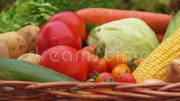 篮子里装满玉米西红柿土豆和洋葱的静物视频的预览图