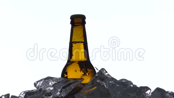 冰中的一瓶深色冷啤白色背景剪影视频的预览图