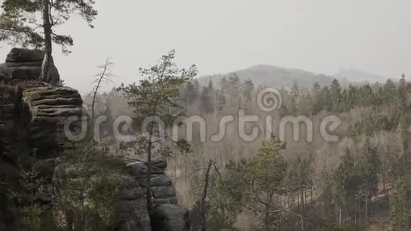 砂岩岩石森林中的岩体攀爬景观大石头视频的预览图