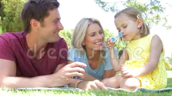 家庭放松在公园一起吹泡泡视频的预览图
