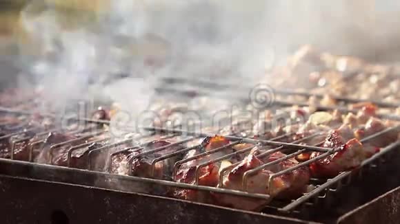 烧烤火上肉大自然烤架上的牛排特写烤串上的烤肉串烧在烟卷上食物视频的预览图