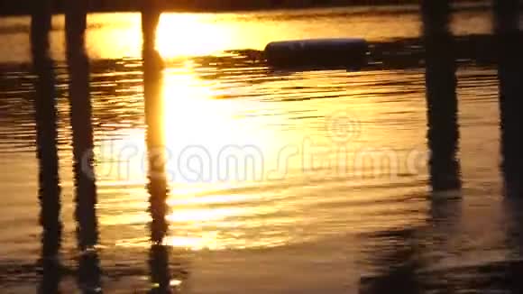 美丽的景观水面宁静湖景日出视频的预览图