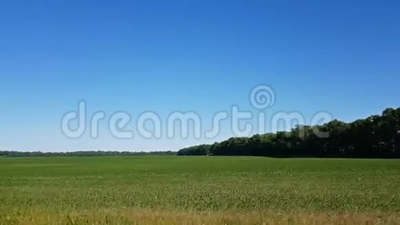 夏天的田野美丽的雷云飞过田野从一辆沿着地面行驶的汽车上射击视频的预览图