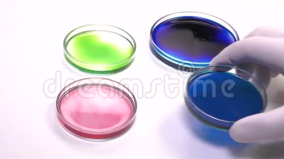 定位一个彩色斑点培养皿视频的预览图