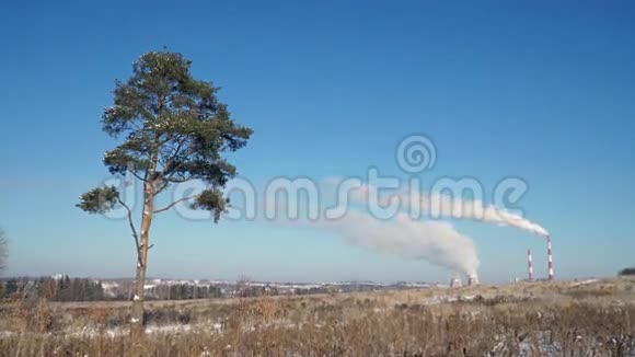 环境的污染工厂烟囱里的烟和田野里孤独的树视频的预览图
