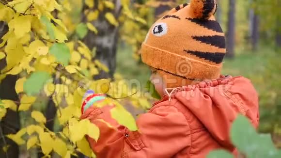 在秋天公园玩树叶的孩子在新鲜空气中散步秋天的风景一个美丽的风景胜地视频的预览图