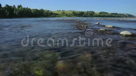 在宽阔的浅水河中快速流动透过水在底部的一块石头上观看阳光照射水视频的预览图