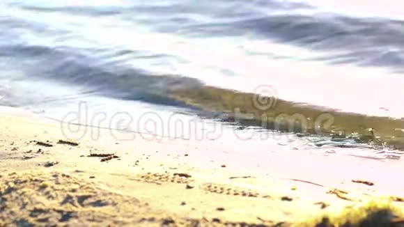 靠近海岸有水晶水波的河流阳光明媚慢慢地视频的预览图