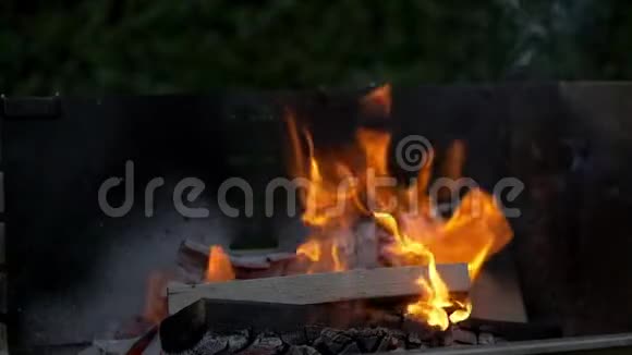 燃烧木材与火焰和火焰在缓慢的运动视频的预览图
