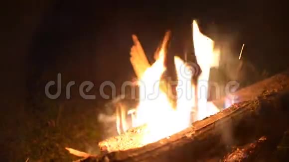 巨大的火以石头为背景的野生自然特写旅行冒险热焰一个舒适的夜晚视频的预览图