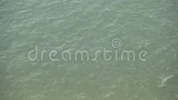 背景的波浪水面视频的预览图
