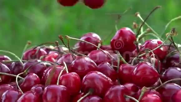 把成熟的樱桃浆果放在花园的阳光下旋转转盘视频的预览图